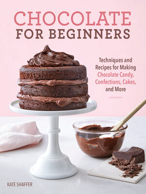 cover image of Chocolate for Beginners